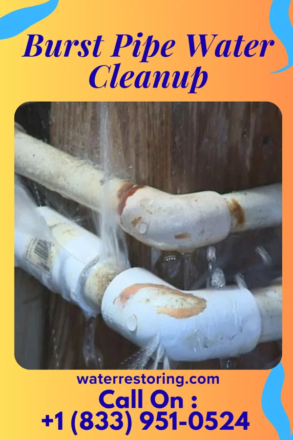 Burst Pipe Water Cleanup in Lewisburg, PA