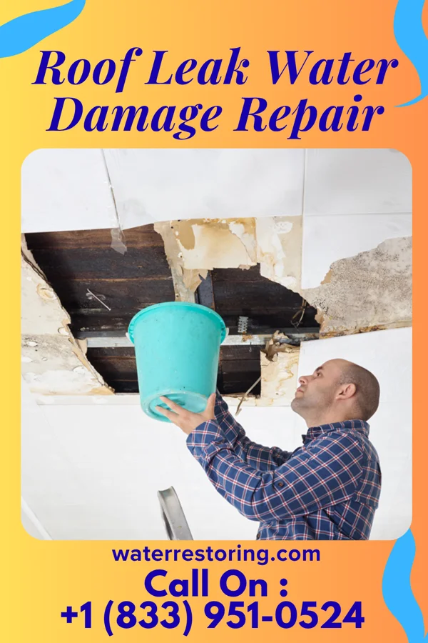 Roof Leak Water Damage Repair in Lewisburg, PA