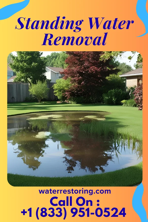Standing Water Removal in Lewisburg, PA